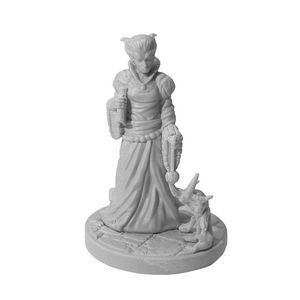 Dungeons & Dragons Collector's Series Miniatures: Sylvira Savikas & Quasit